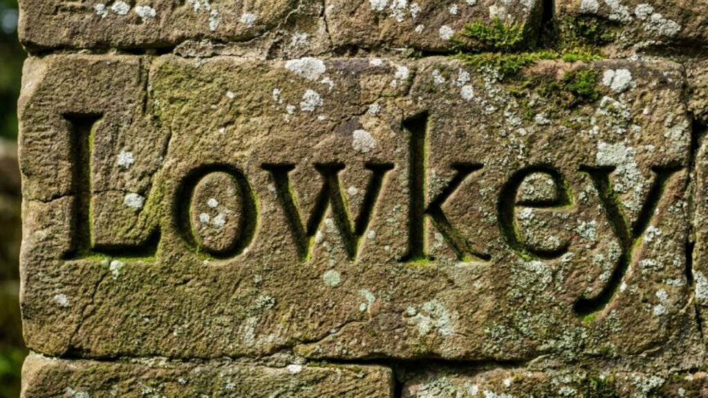 What “Lowkey” Actually Means